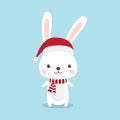 Christmas Rabbit cartoon character.