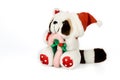 Christmas raccoon toy Royalty Free Stock Photo