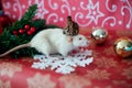 Christmas rat Symbol of the new year 2020. Christmas card. Chinese New Year 2020. Christmas toys, bokeh.