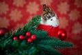Christmas rat Symbol of the new year 2020. Christmas card. Chinese New Year 2020. Christmas toys, bokeh