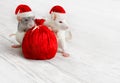 Christmas Rats with Santa Claus Bag, New Year Animals with Sack in Red Hat