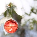 Christmas Red Ball on Christmas tree branch covered with Snow. Royalty Free Stock Photo