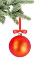 Christmas red ball and christmas tree branch isolated over white Royalty Free Stock Photo