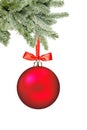 Christmas red ball and christmas tree branch isolated over white Royalty Free Stock Photo
