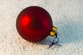 Christmas red ball Christmas tree closeup