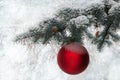 Christmas red ball hanging on fir tree branches in snow Royalty Free Stock Photo