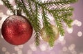 Christmas red ball on a pine real branch .