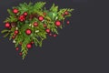 Christmas Red Bauble and Winter Flora Decoration Royalty Free Stock Photo