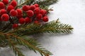 Christmas red berries decoration on the fir tree branches on gray surface. Christmas festive background Royalty Free Stock Photo