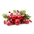 Christmas red berries European holly isolated on white background