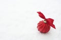 Christmas red decoration, bauble, ball isolated on snow. Winter greeting card with copy space Royalty Free Stock Photo