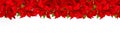 Christmas red flower poinsettia Floral border Royalty Free Stock Photo