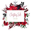 Christmas red poinsettia, amaryllis, ranunculus vector design frame