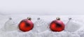 Christmas red and white baubles in snow