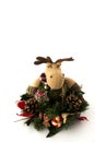 Christmas Reindeer Royalty Free Stock Photo