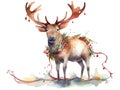 Christmas Reindeer. Watercolor Illustration