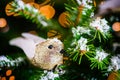 Christmas Robin Bird on the Xmas Tree Royalty Free Stock Photo
