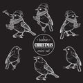 Christmas Robin. Set of 6 hand drawn sketch style pictures of Robin in different angles with or without hat and scarf Royalty Free Stock Photo