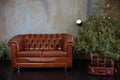 Christmas room interior. Stylish interior of living room with Christmas fir tree and brown sofa. Beautiful decorated room for Xmas Royalty Free Stock Photo