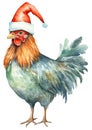 Christmas rooster in red Santa hat isolated on white background. Winter farm chicken watercolor illustration