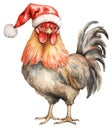 Christmas rooster in red Santa hat isolated on white background. Winter farm chicken watercolor illustration