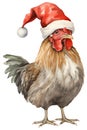 Christmas rooster in red Santa hat isolated on white background. Winter farm chicken watercolor illustration