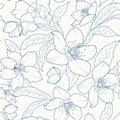 Christmas rose hellebore flowers pattern dark blue