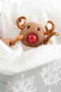 Christmas Rudolf Reindeer Cookies Royalty Free Stock Photo