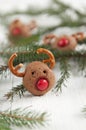 Christmas Rudolf Reindeer Cookies Royalty Free Stock Photo
