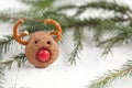 Christmas Rudolf Reindeer Cookies Royalty Free Stock Photo