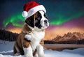 Christmas - Saint Bernard Puppy dog Santa Claus hat - AI generated