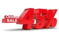 Christmas sale. Discount forty five percent off