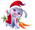 Christmas santa bunny with carrot in his pocket doing hello. Hare symbol of 2023 Chinese calendar