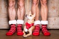 Christmas santa claus dog with owners