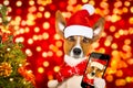 Christmas santa claus dog Royalty Free Stock Photo