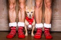 Christmas santa claus dog with owners