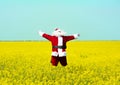 Christmas Santa Claus jumping in blooming yellow field.