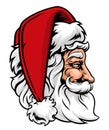 Christmas Santa Claus in Profile