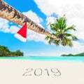 Christmas Santa hat on palm at tropical beach season 2019 Royalty Free Stock Photo