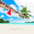 Christmas Santa hat on palm at tropical beach season 2017 Royalty Free Stock Photo