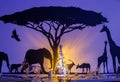 Christmas scene with silhouette of Elephants and Giraffe Royalty Free Stock Photo