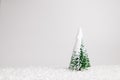 Christmas scene with snowy pine tree on bright white background. Creative Xmas or New Year festive natural concept. Royalty Free Stock Photo