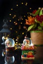 Christmas scene with tree, lights and snow globe. Selective focus on black background Royalty Free Stock Photo