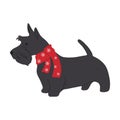 Christmas Scottish terrier in hand drawn style. Merry Christmas illustration of cute pet with accessory. Flat vector illustration Royalty Free Stock Photo