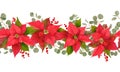 Christmas seamless border with Winter flower Poinsettia, Mistletoe, branches of Rowan tree with Berries