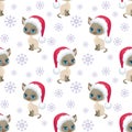 Siamese cat pattern Royalty Free Stock Photo