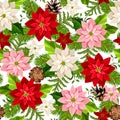 Christmas seamless pattern with poinsettia flowers and fir branches. Vector illustration Royalty Free Stock Photo