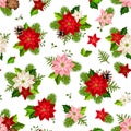 Christmas seamless pattern with poinsettia flowers. Vector illustration.