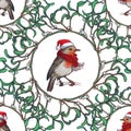 Christmas seamless pattern. Robin bird in a red christmas hat and skarf. Mistletoe twigs decorative frame.