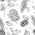 Christmas seamless Pattern. Vector illustration of forest plants. Hand drawn on transparent isolated background. Outline Royalty Free Stock Photo